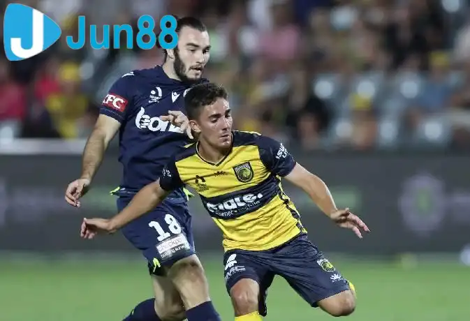 Melbourne City được đánh giá cao hơn trong trận đấu này. Melbourne City được đánh giá cao hơn trong trận đấu này.